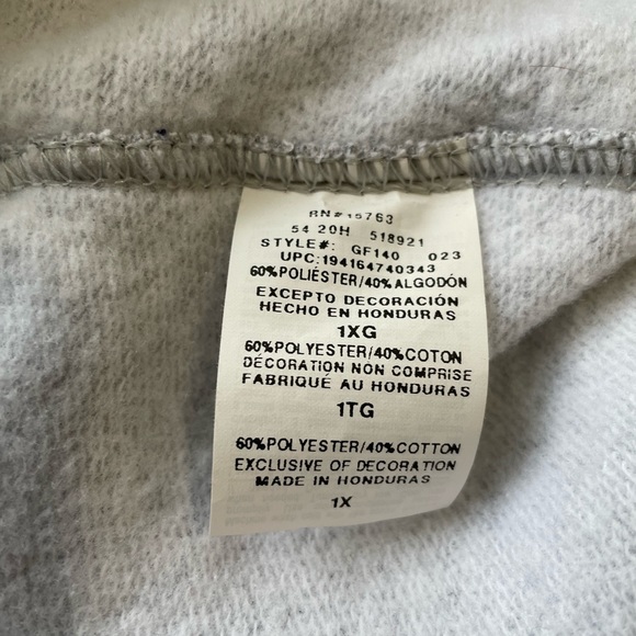 Gray Fleece lined Champion Authentic Athleticwear Hooded Sweatshirt - Picture 5 of 5